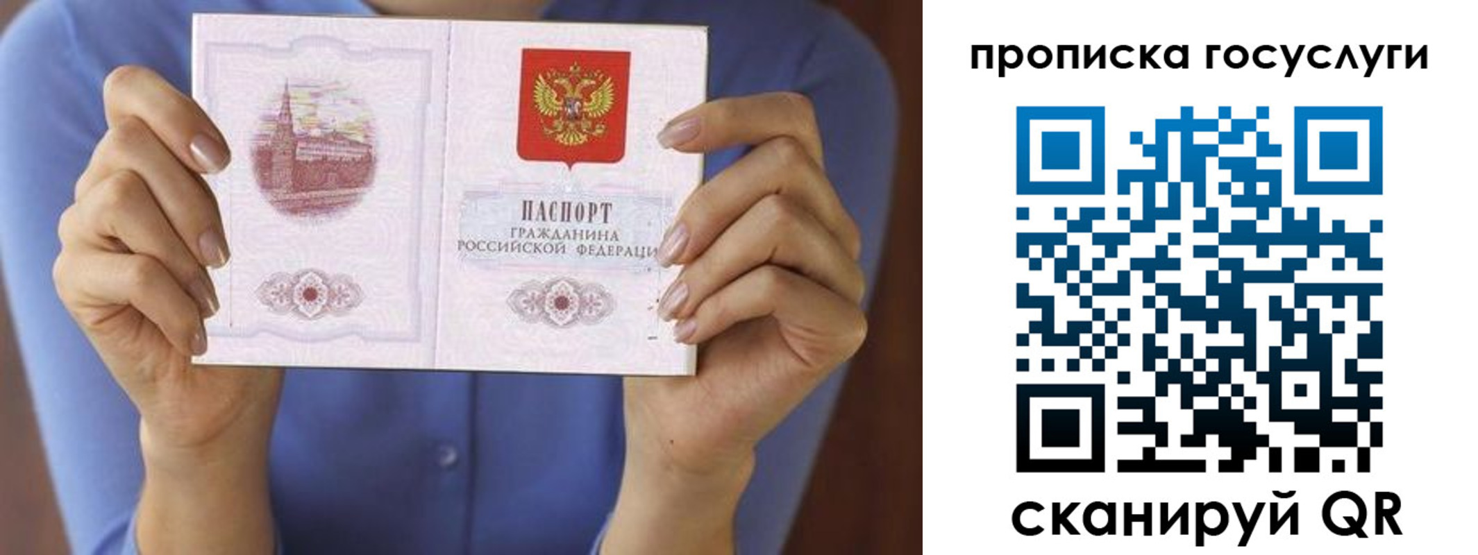 временная регистрация поиск в Мончегорске