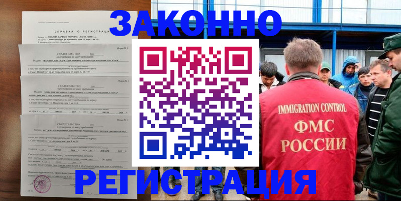 прописка поиск в Мончегорске